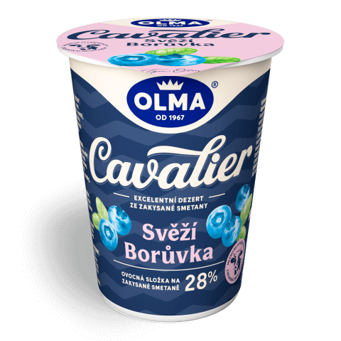 Cavalier Borůvka Cavalier Borůvka