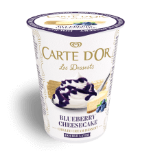 Carte d'Or Blueberry Cheesecake  Carte d'Or Blueberry Cheesecake